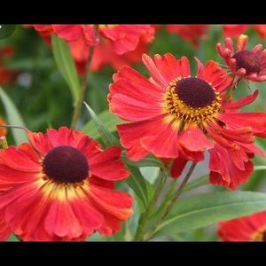 Meet your Posher, Eva